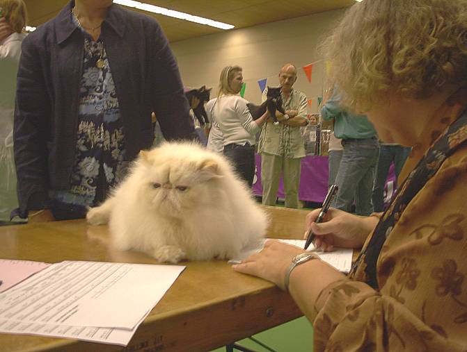 Schiedam Felikatshow 2003